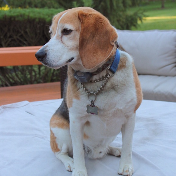 Meet your Posher, Crissy - Picture 1 of 1